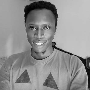 vista media enterprises, wordpress content marketing services freddy Muriuki freelance writer for hire